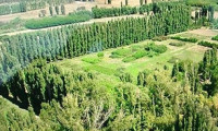 TOKİ'den Atatürk Orman Çiftliği açıklaması
