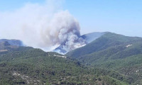 Milas'ta korkutan orman yangını