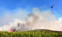 Muğla ve İzmir'de orman yangınları sürüyor