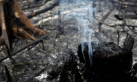 Bolsonaro: Amazon Ormanları'nı çevreciler yakıyor
