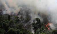Sisam'da orman yangını