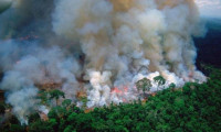 G7'den Amazon yangınları için 20 milyon euro