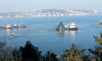 Marmara Denizi balıksız kalabilir