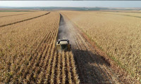 Tarım ÜFE ağustosta yüzde 19.7 yükseldi