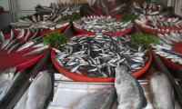 Rusya'da Türk balığında cıva ve kadmiyum tespit edildi