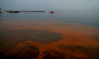 Marmara Denizi'nde kirlilik uyarısı!