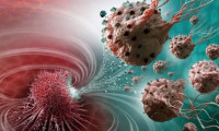 Korona virüs kanser hastalarının ölüm riskini artırabilir