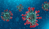 Japon araştırmacılar virüsün insan cildi üzerinde 9 saat kalabildiğini kanıtladı