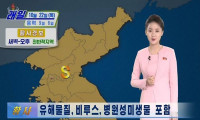 Kuzey Kore'de halka Çin’den gelen sarı virüs tozu uyarısı
