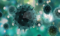 ‘Keşfedilmemiş’ virüsler yeni salgın riski taşıyor