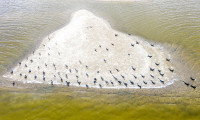 Sel Kapanı Göleti'nde oluşan adacıklar havadan görüntülendi