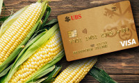 UBS mısırdan kredi kartı üretti