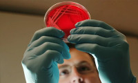 İngiltere'nin ardından bir mutasyonlu korona virüsü daha tespit edildi