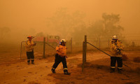 Avustralya'daki yangınlarda ülkedeki ormanların beşte biri yok oldu