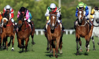 Dünyanın en pahalı at yarışı Suudi Arabistan’da düzenleniyor