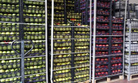 Rusya'ya meyve-sebze ithalatında Çin yerine Türk ürünleri