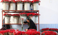 Sevgililer Günü için 50 ülkeye 60 milyon dal çiçek ihraç edildi