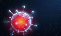 Korona virüs dünyayı tehdide devam ediyor