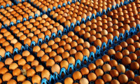 150 TIR yumurta mahsur kaldı