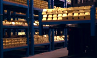 Merkez'in altın karşılığı TL swap ihalesinde teklif 30,4 ton