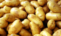 Patates ithalatına gözetim uygulaması