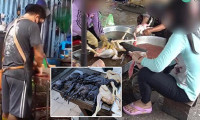 Çin'deki hayvan pazarlarında gizli çekim yapıp görüntüleri yayınladılar! 