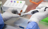 BioNTech ile Pfizer korona virüs aşısı için ABD'de de testlere başladı