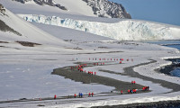 Virüsün görülmediği tek kıta: Antarktika