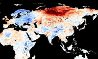 Dünyanın gördüğü en sıcak yıl Sibirya 30 derece