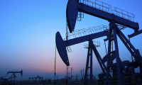 Brent petrolün varili 43,24 dolar
