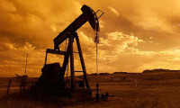 Brent petrolün varili 43,48 dolar