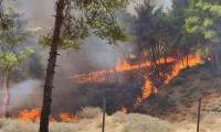Hatay'da 10 hektar ormanlık alan yandı