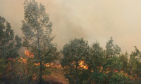 Adana'da yangın dehşeti: 6 köye tahliye