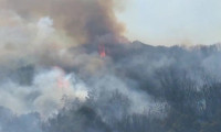 Kocaeli’de büyük orman yangını