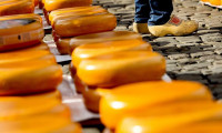 Peynirden zehirlenen 10 kişi hayatını kaybetti