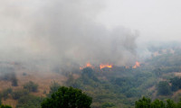 Bulgaristan'dan Türkiye'ye ilerleyen yangın kontrol altına alınamıyor