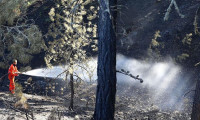 Ankara'daki orman yangını büyük ölçüde kontrol altında