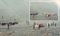 Hindistan ile Çin arasındaki gerilimi sınırı geçen 13 sığır düşürdü