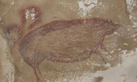 45 bin 500 yıllık hayvan çizimi bulundu