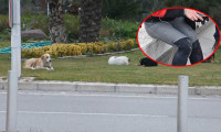 İzmir Kordon'da sokak köpeği dehşeti