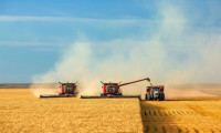 FAO, Türkiye için 2021 tahıl üretim tahminini düşürdü