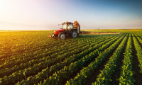 Avrupa Birliği'nin tarım üretimi geriledi