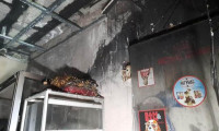Pet shop’ta korkunç yangın! Çok sayıda evcil hayvan öldü 
