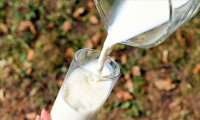 Çiğ süte yüzde 47 zam 