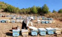 Muğla'da bal üreticilerine arı yemi hibe edildi