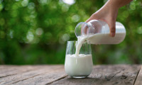 Çiğ süt zammı da geldi: Bir litre süt 14 TL’yi gördü