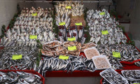 Çanakkale’de balık tezgahları doldu, fiyat düştü