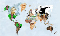 Dünya ressam haritası