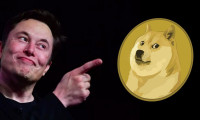 Musk'ın köpek sevgisi mi, coin sevgisi mi?