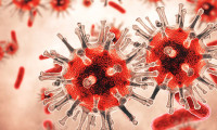 Yeni bir koronavirüs türü tespit edildi